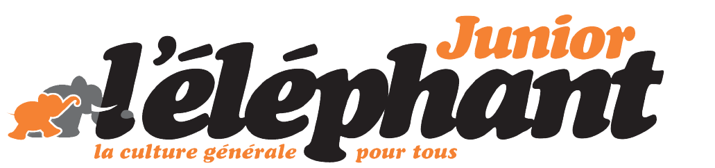 logo revue junior