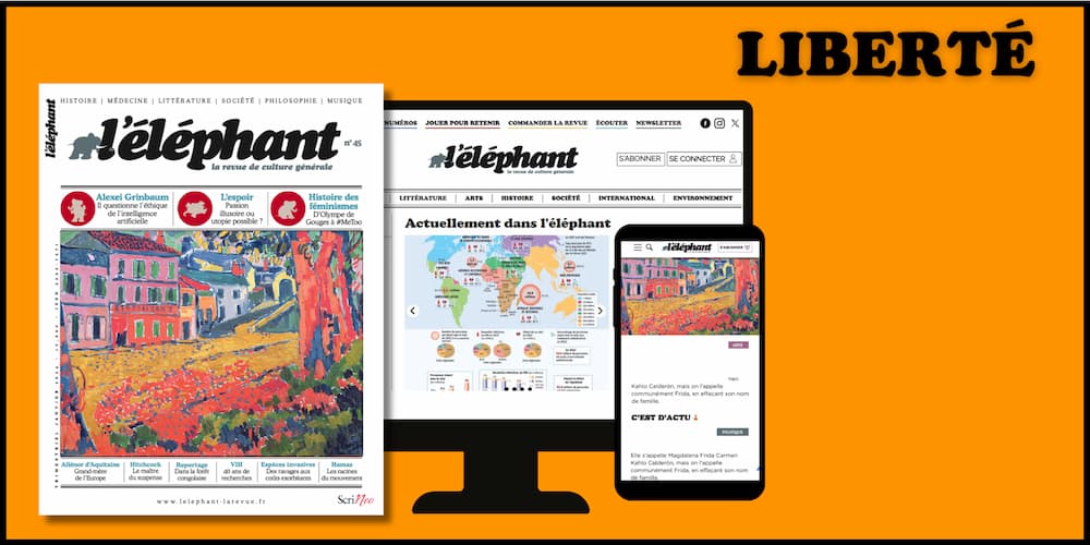 Abonnements  la revue en mode libert