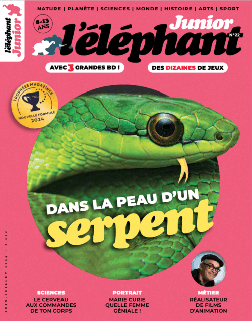 L'éléphant junior n°22