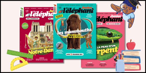 Abonnement enseignant/ bibliothèque/médiathèque