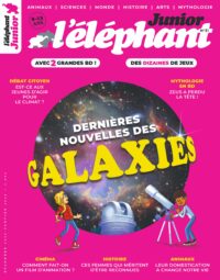 L'éléphant junior n°31