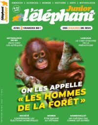 L’éléphant junior n°32